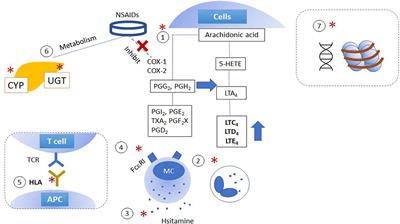 Pharmacogenomics of Hypersensitivity to Non-steroidal Anti-inflammatory Drugs